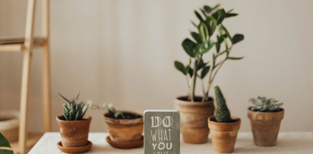 plants with motivating sign