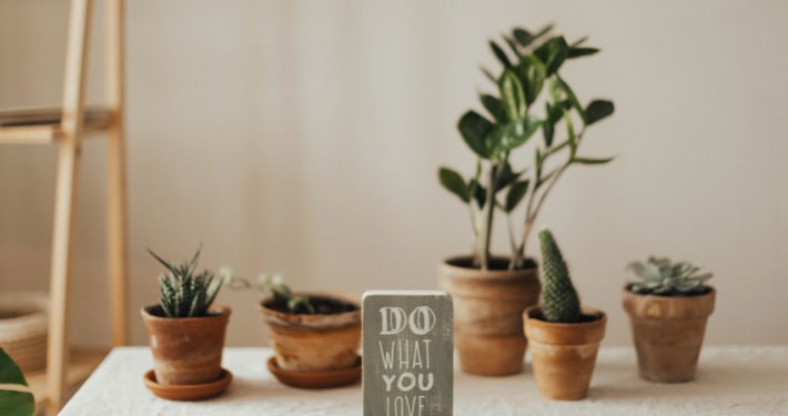 plants with motivating sign